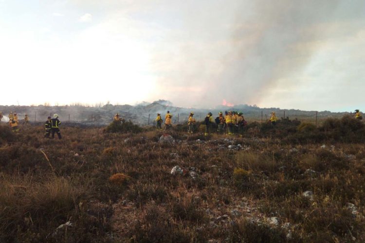 Controlado el incendio que se declaró en la zona de maniobras militares de Las Navetas