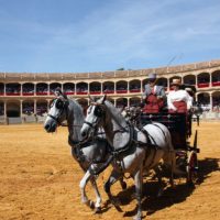 Los enganches se desarrollarán este año el día 7 de septiembre, dentro de la Feria de Ronda.