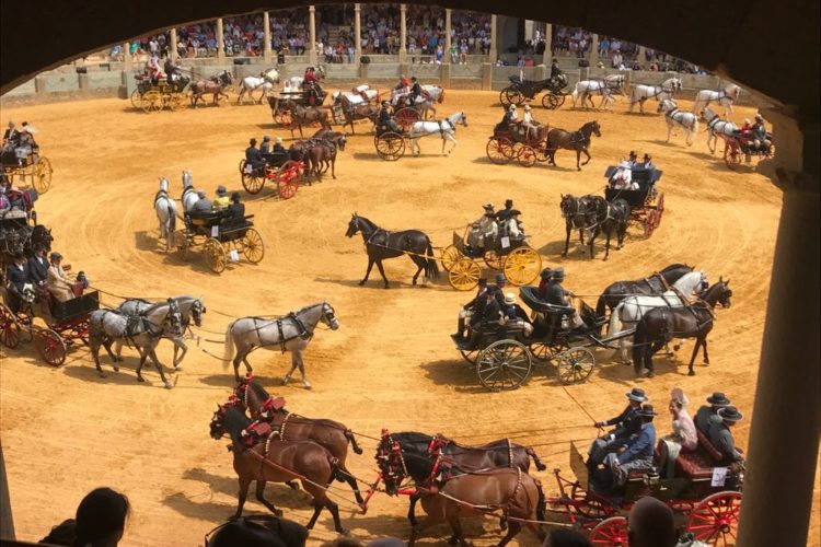 Espectáculo, elegancia y tradición en el XLI Concurso Exhibición de Enganches de Ronda