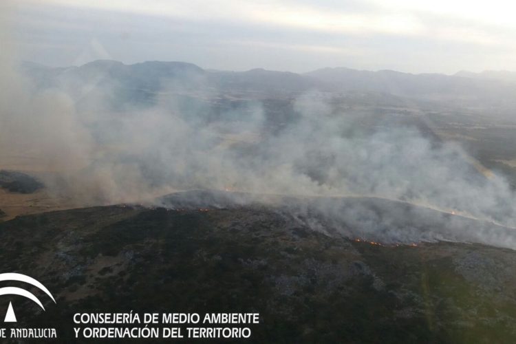 Efectivos del Plan Infoca trabajan para controlar un incendio declarado en la zona de maniobras militares de Las Navetas