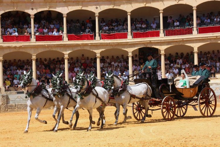 Treinta carruajes y cocheros obtuvieron premios y galardones en el Concurso Exhibición de Enganches de Ronda