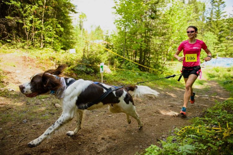 Ronda organiza su primer Canicross-Bikejoring y se convierte en la primera sede del campeonato andaluz