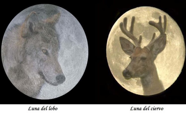 Astronomía: Los nombres de las lunas a lo largo del año