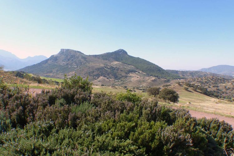 Parajes de la Serranía de Ronda: Un paseo por La Donaira