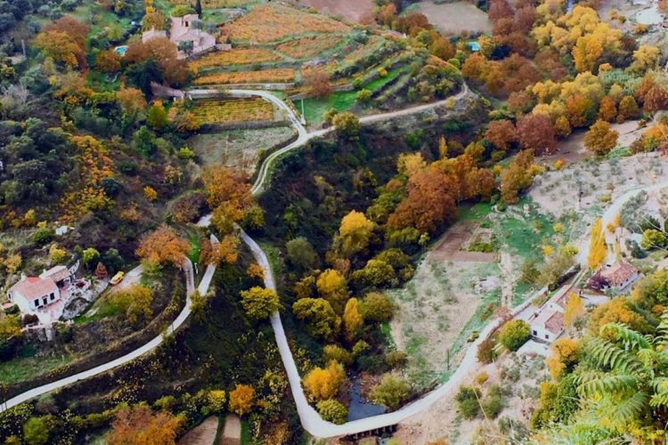 Cabañuelas para el mes de diciembre en Ronda: «En Pascua, arrímate al ascua»