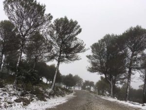 Paisajes nevados en esta jornada.