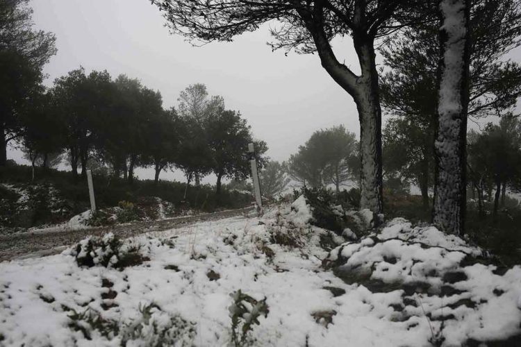 La borrasca ‘Ana’ deja los primeros mantos blancos en las zonas más altas de la Sierra de Las Nieves