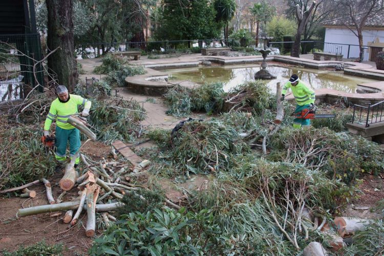 El temporal de viento y lluvia provoca la caída de árboles y ramas, además de numerosas incidencias de escasa importancia