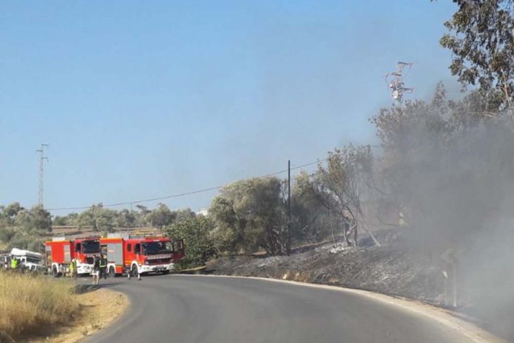 Fallece un motorista de 32 años en la carretera Ronda-Benaoján al salirse de la calzada