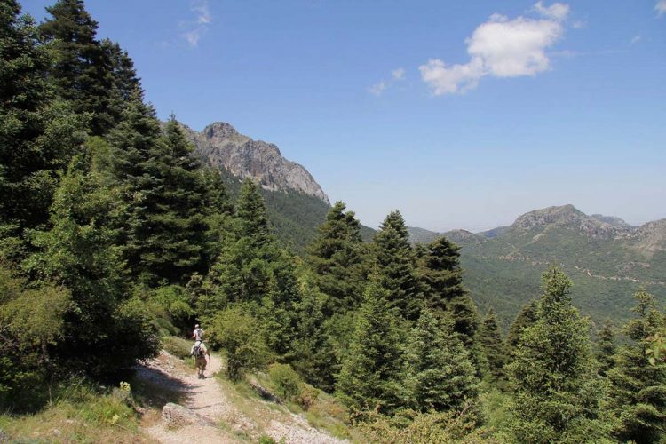¿Qué pasa en el Parque Natural Sierra de Grazalema?