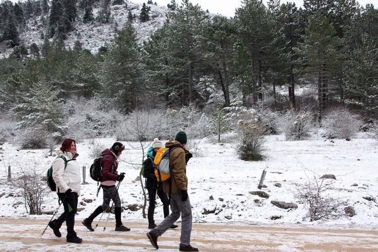 Cientos de personas llegadas desde diferentes provincias suben a la Sierra para disfrutar de la nieve