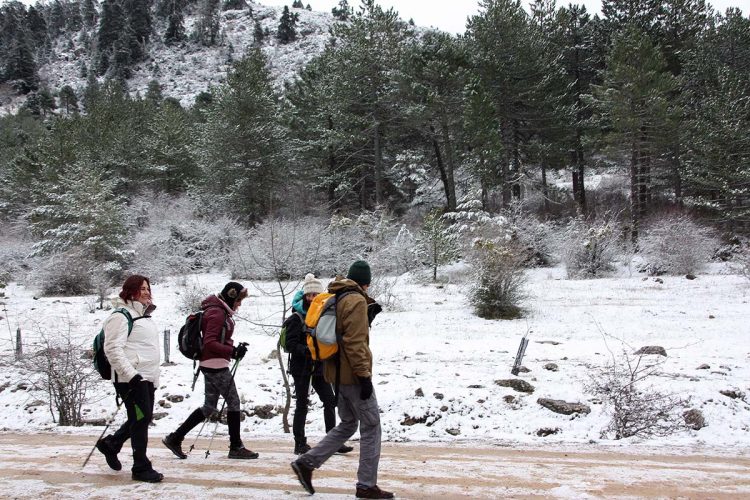 La Diputación invierte 1,6 millones de euros en nuevos miradores y mejora de carriles y aparcamientos en la Sierra de las Nieves