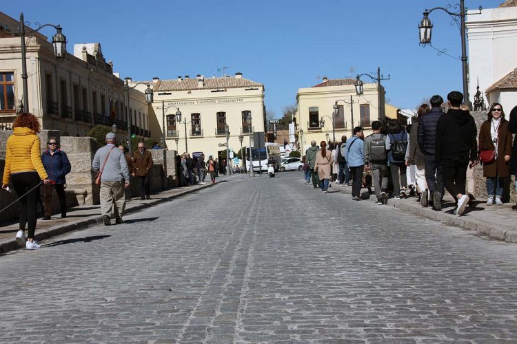 Cuatro meses después de abrirse al tráfico, el Puente Nuevo ni se ha caído ni se han registrado incidencias relevantes