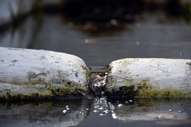 La Fuente del Pozuelo de Parauta, herencia visigoda en la Serranía