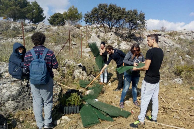 Una veintena de abuelos con sus nietos repoblarán con pinsapos el Parque Periurbano de la Dehesa