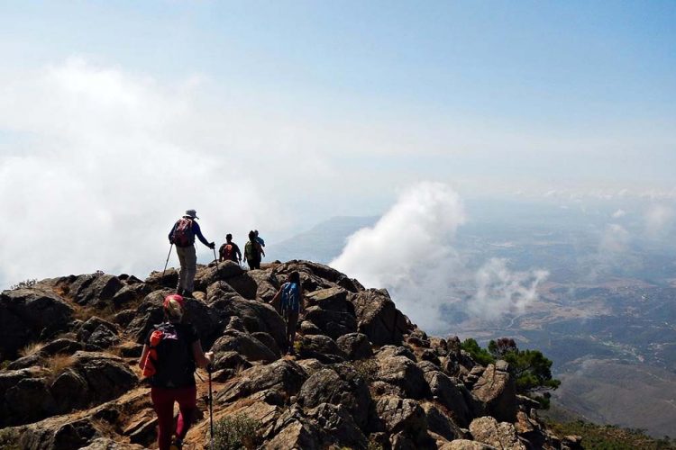 La Plataforma Sierra Bermeja recuerda que la Sierra de las Nieves aún no es parque nacional y vuelve a reclamar que se incluya este territorio