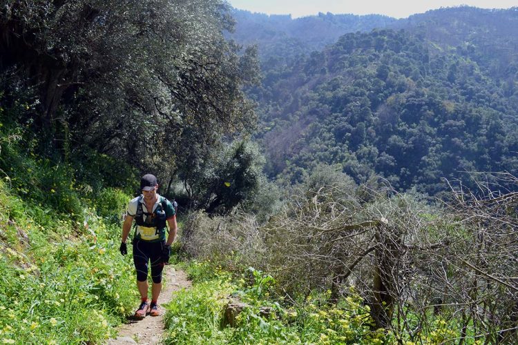 La Gran Vuelta al Valle del Genal inaugura este fin de semana su primera edición de bicicleta de montaña