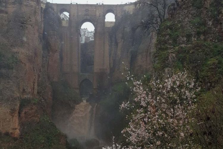 Cabañuelas: Marzo, los almendros en flor y los mozos en amor