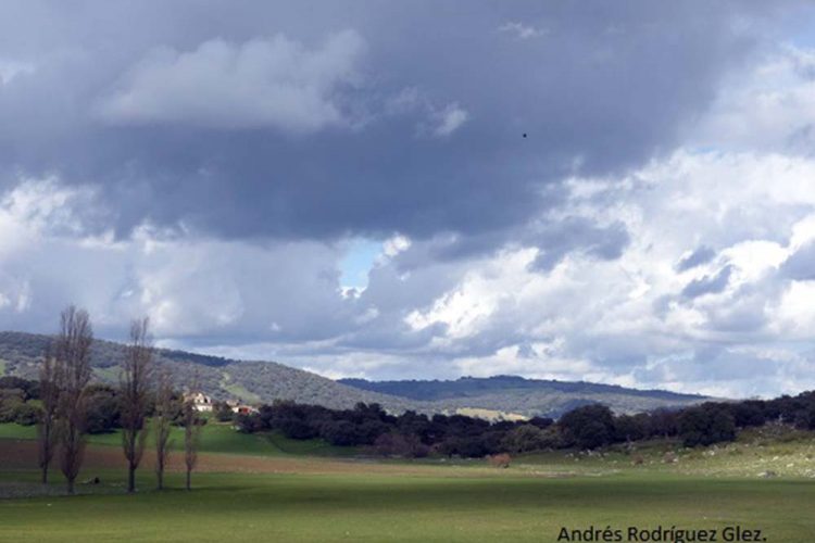 Paisajes de la Serranía: Las Navas