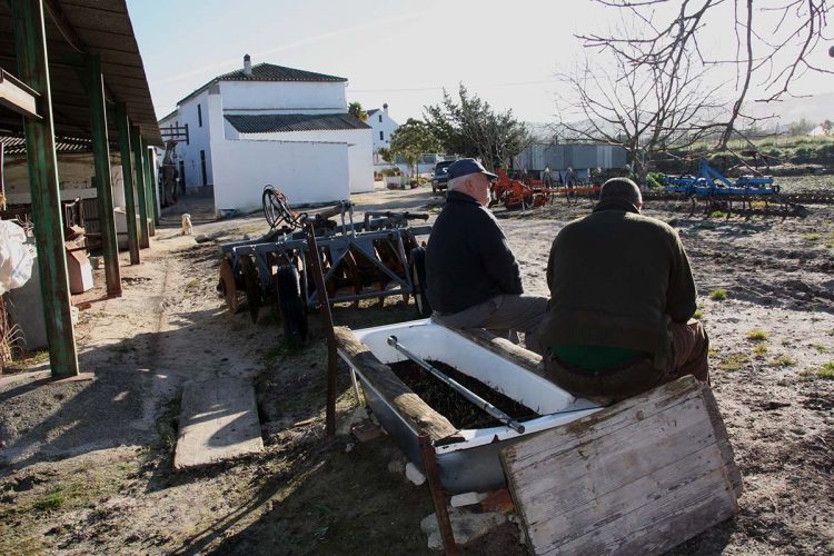 Más de 300 vecinos de la pedanía del Llano de la Cruz llevan diez días sin agua por una avería en su red de suministro