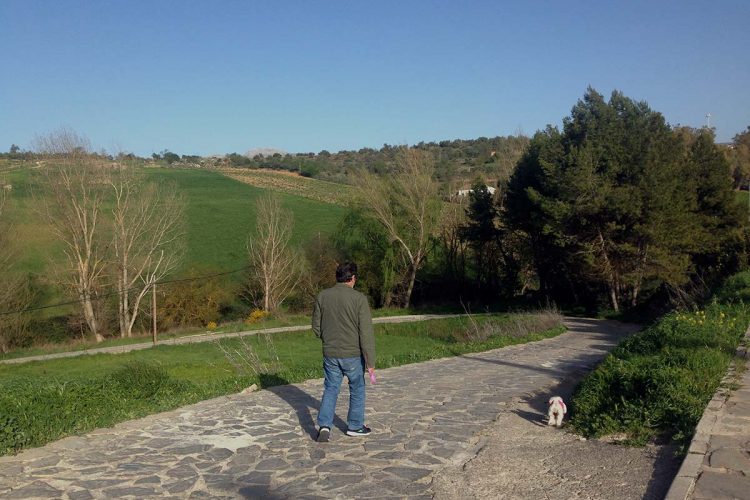 El Ayuntamiento inicia los trabajos para reparar un colector que está vertiendo aguas fecales al arroyo de Las Culebras