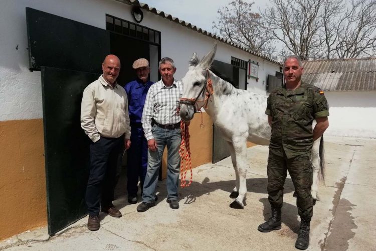 La Parada de Sementales inicia su actividad con cinco caballos de diferentes razas y un asno andaluz