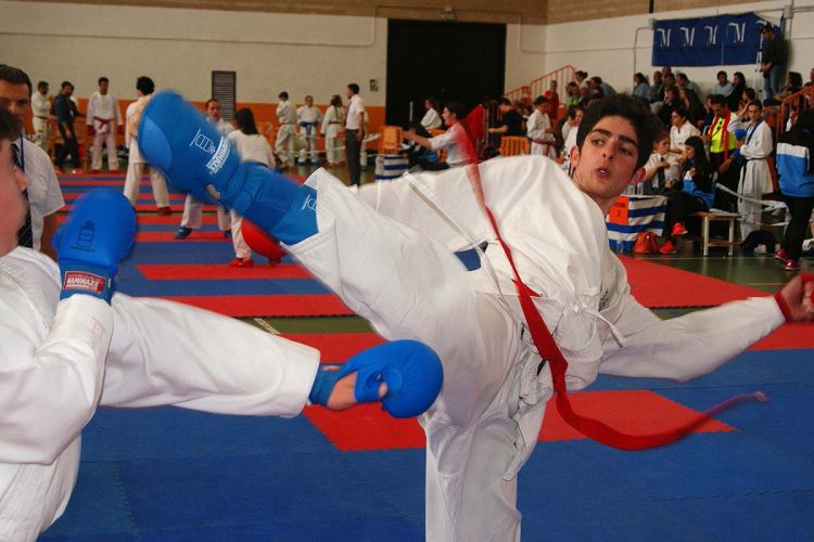 Nueve podios para el Club Bushido en la Liga Final de Kárate para Mayores de 13 años celebrado en Algarrobo