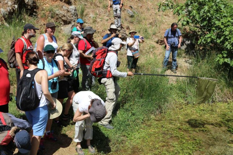 La Diputación organiza un taller gratuito sobre mariposas de la Gran Senda en Jimera de Líbar