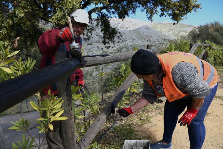 El Ayuntamiento de Cartajima acondiciona su mirador con vistas a Los Riscos y a la Cancha Almola