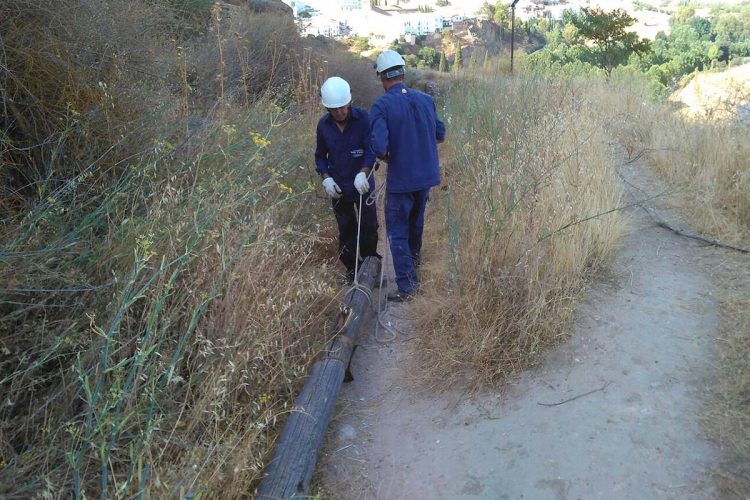 El paro bajó en Ronda durante el mes de abril en 174 personas