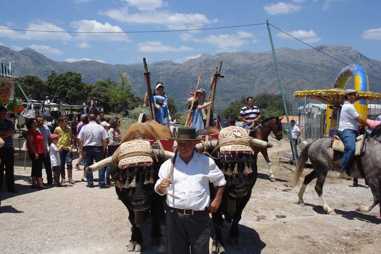 Benalauría se prepara para vivir la Romería de Siete Pilas en honor a la Inmaculada Concepción