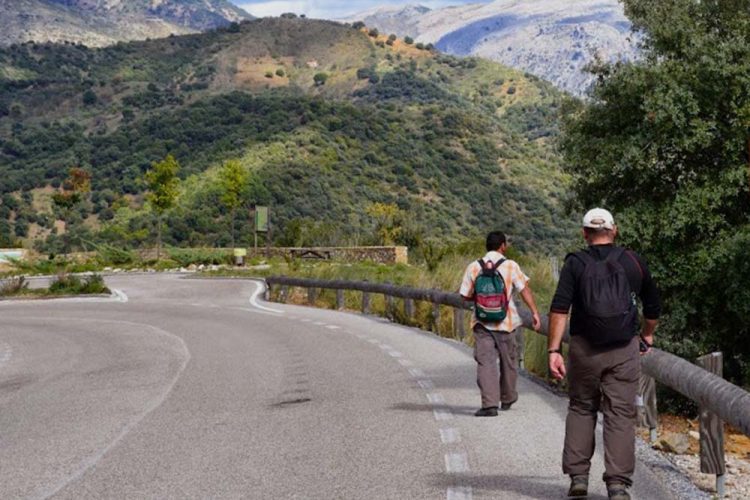 Rescatan a un motorista que se ha precipitado por un barranco en la carretera A-369 a la altura de Atajate