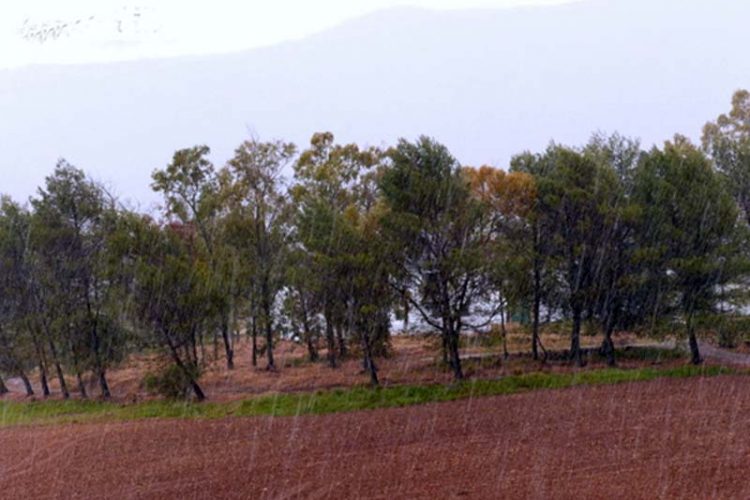 Cabañuelas para la Serranía: «Tormenta de junio golpea como un puño»