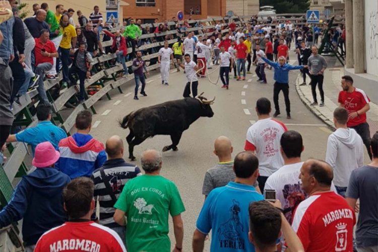 Gaucín participa en el XV Congreso Nacional del Toro de Cuerda celebrado en Cuenca