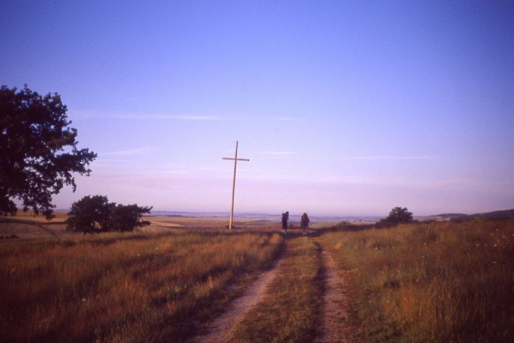 El Camino de Santiago y el Camino de las Estrellas