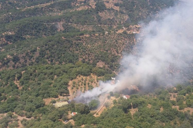 Efectivos del Plan Infoca controlan un incendio forestal que se ha declarado esta tarde en parajes de Jubrique