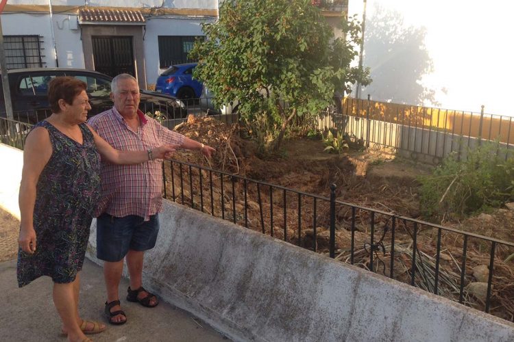 Vecinos de San Cristóbal: «El Tripartito nos ha robado dos palmeras de la barriada para colocarlas en la plaza de La Merced, para los turistas»