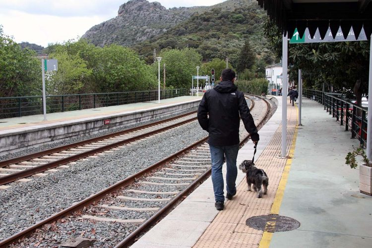 Organizan una marcha entre las estaciones de Arriate y Ronda en defensa del tren rural