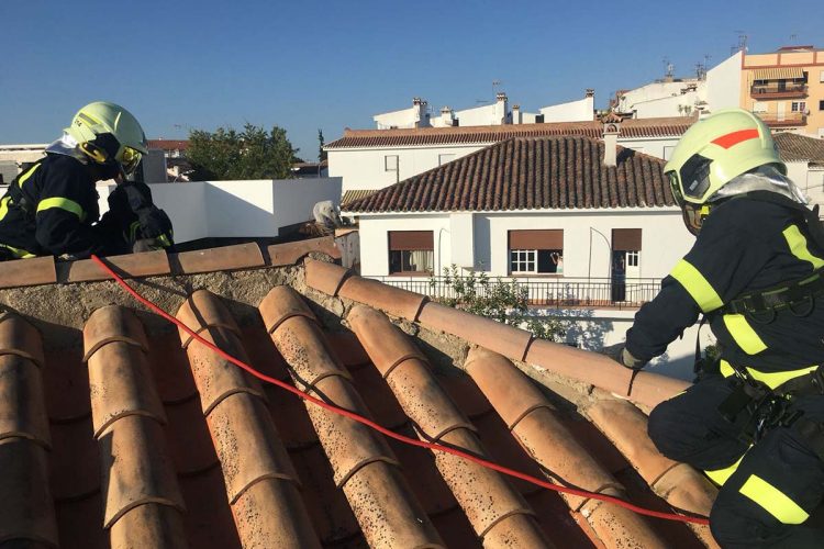 Los bomberos rescatan a un buitre que quedó atrapado en el tejado de una vivienda de Ronda