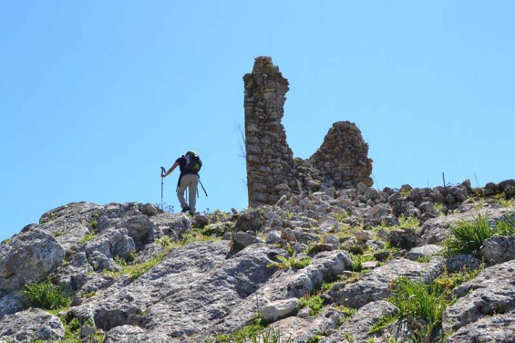 La Torre de Lifa