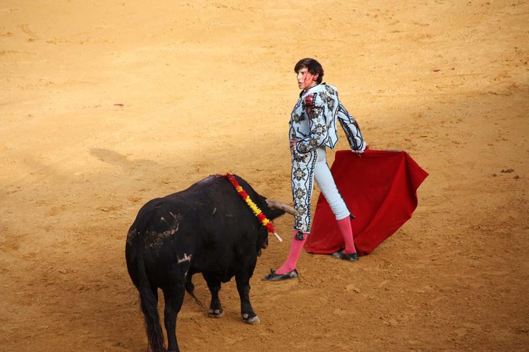 Roca Rey no podrá estar en la Goyesca de este año por las lesiones de cervicales que ha sufrido