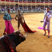 Este año no se podrá celebrar la tradicional Corrida Goyesca por motivos de seguridad en la plaza.