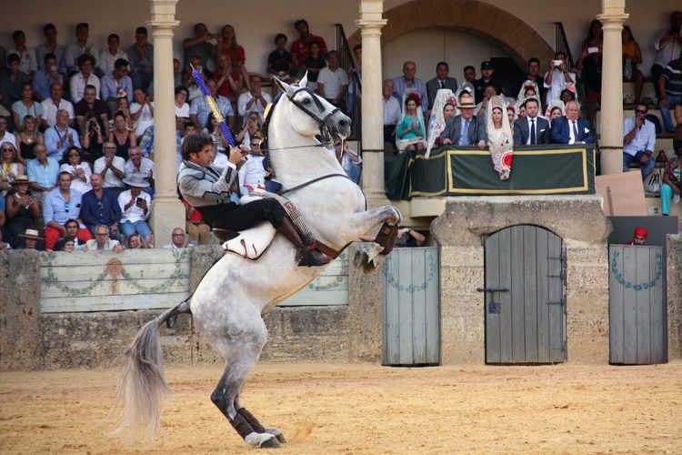 Diego Ventura rompe en los Rejones de Ronda y se lleva con un solo toro dos orejas y rabo