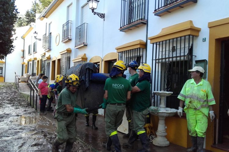Más de 200 efectivos del Infoca continúan trabajando en los municipios serranos afectados por las lluvias