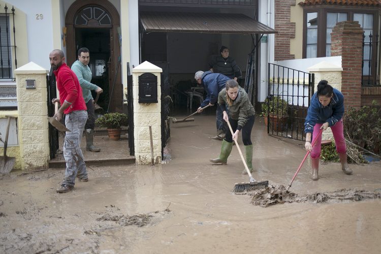 Campillos considera como «una tomadura de pelo» que el Gobierno no declare la zona catastrófica y anuncia movilizaciones; mientras en Ronda guardan silencio