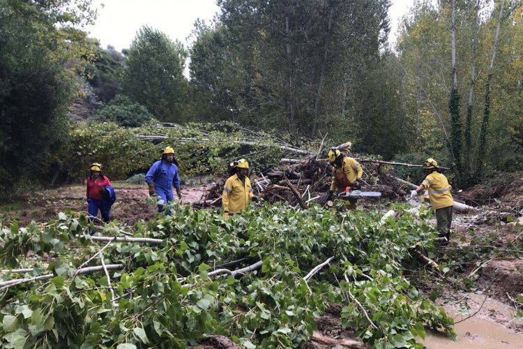 Dos retenes del Infoca trabajan en Arriate para retirar la arboleda y la maleza arrastrada por la crecida del arroyo de la Ventilla tras las lluvias