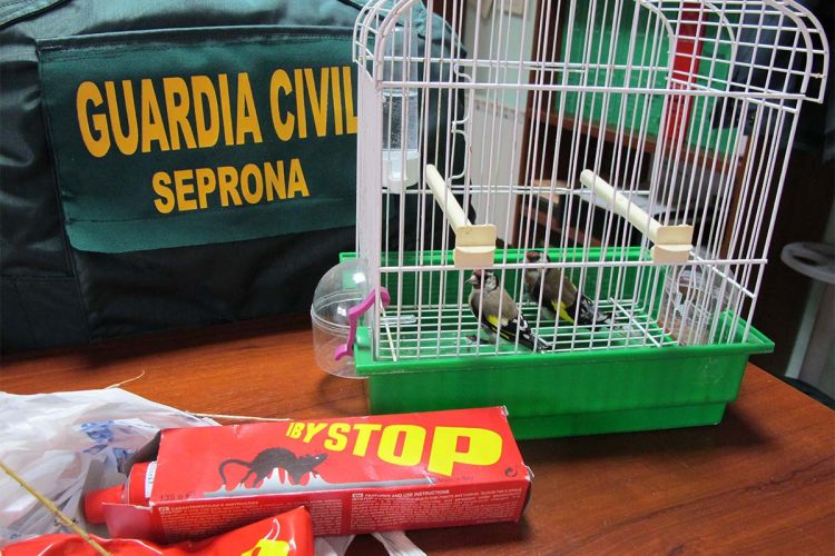 La Guardia Civil de Ronda detiene a tres personas por la captura con artes prohibidas de aves