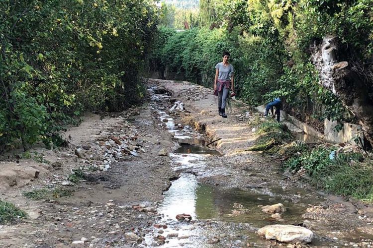 La Junta anuncia que adelantará el arreglo de los carriles agrícolas y ganaderos afectados por las inundaciones