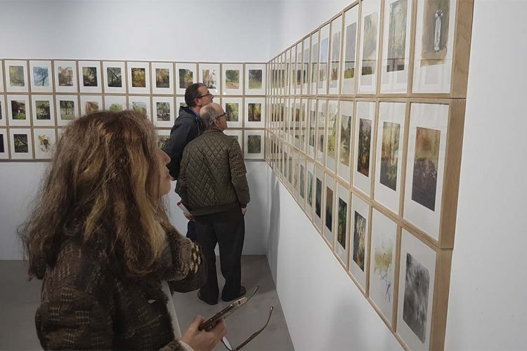 Genalguacil, «En la línea del tiempo’, nueva exposición en el MAC