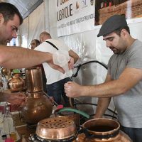 Jubrique organiza la XI edición de su Concurso de Aguardiente